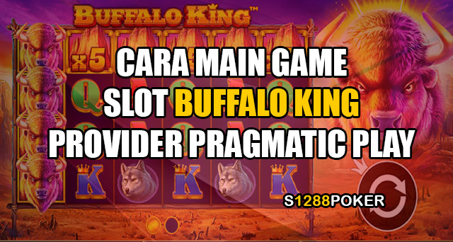 Cara main game slot buffalo king provider pragmatic play