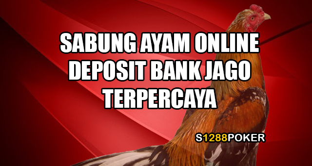 Sabung ayam online deposit bank jago terpercaya