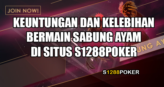 Keuntungan dan kelebihan bermain sabung ayam di situs s1288poker