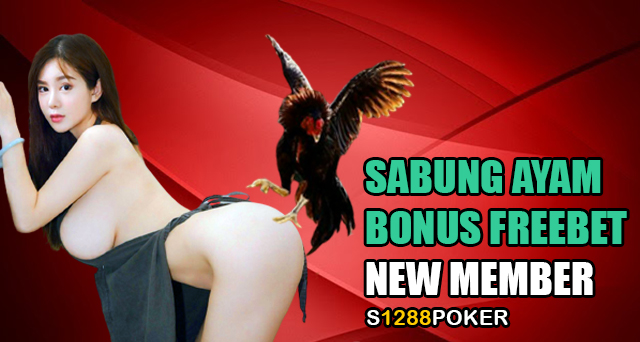 Sabung ayam bonus freebet new member