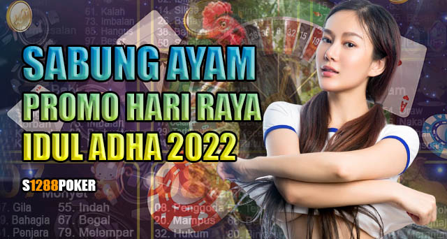 Sabung ayam promo hari raya idul adha 2022