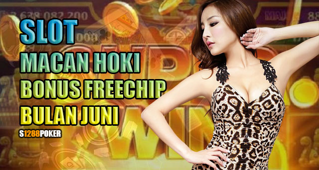 Slot macan hoki bonus freechip bulan juni