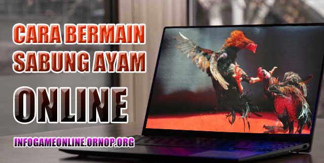 Cara Bermain Sabung Ayam Online