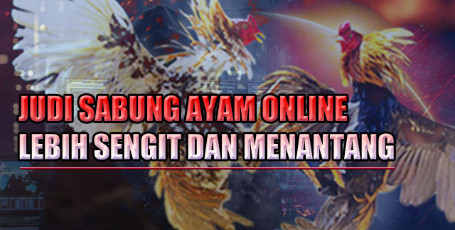 Judi Sabung Ayam Online Lebih Sengit dan Menantang