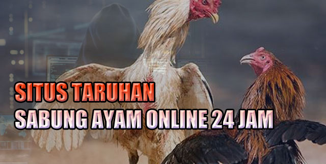 Situs Taruhan Sabung Ayam Online 24 Jam