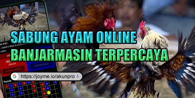 Sabung Ayam Online Banjarmasin Terpercaya