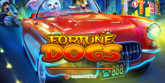 Demo Slot Fortune Dogs Habanero Tanpa Daftar